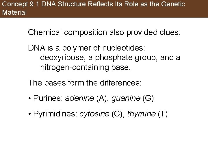 Concept 9. 1 DNA Structure Reflects Its Role as the Genetic Material Chemical composition