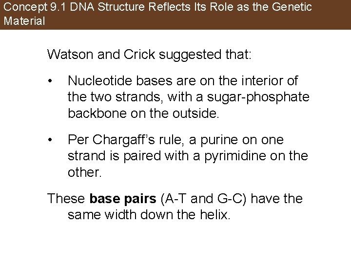 Concept 9. 1 DNA Structure Reflects Its Role as the Genetic Material Watson and