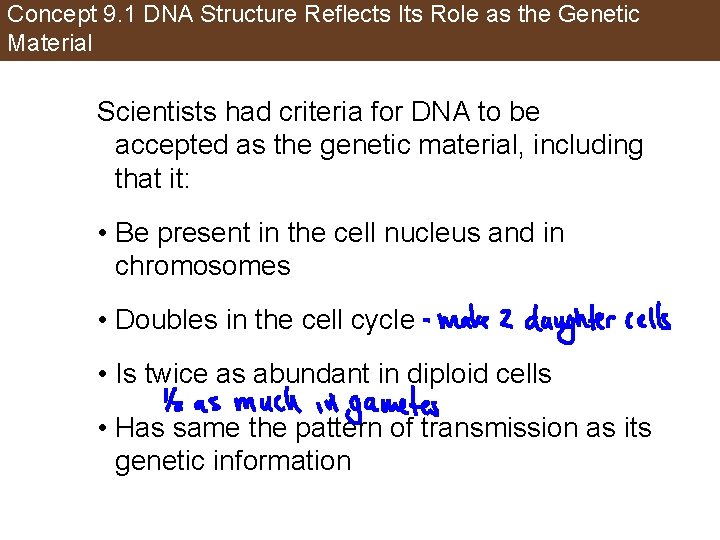 Concept 9. 1 DNA Structure Reflects Its Role as the Genetic Material Scientists had