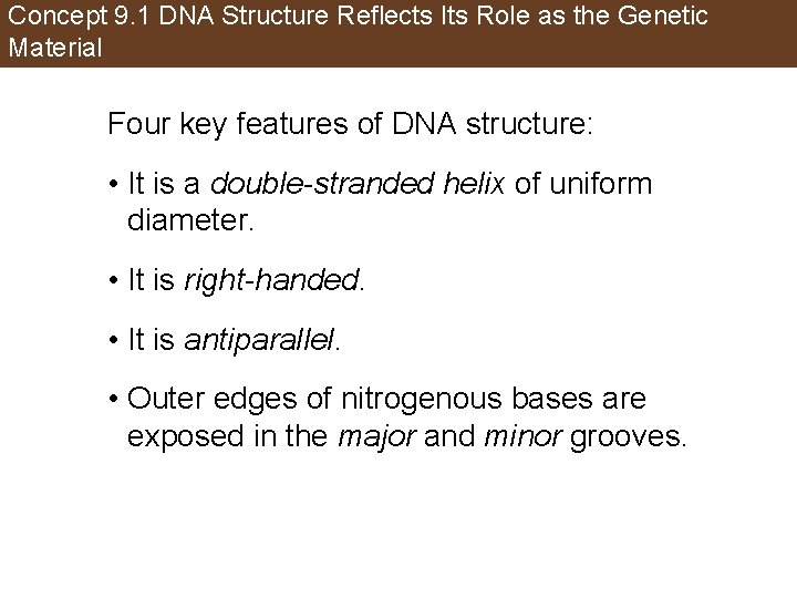 Concept 9. 1 DNA Structure Reflects Its Role as the Genetic Material Four key