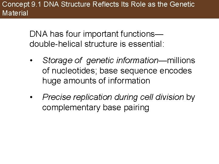 Concept 9. 1 DNA Structure Reflects Its Role as the Genetic Material DNA has