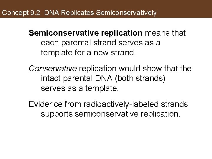 Concept 9. 2 DNA Replicates Semiconservatively Semiconservative replication means that each parental strand serves