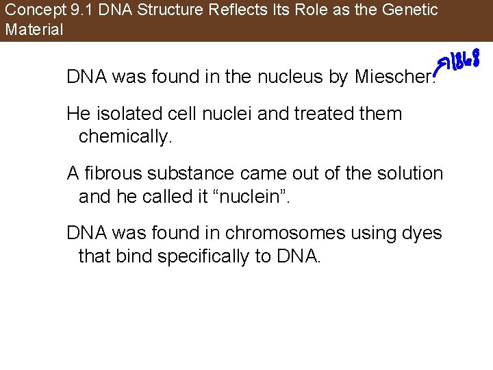 Concept 9. 1 DNA Structure Reflects Its Role as the Genetic Material DNA was