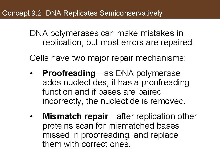 Concept 9. 2 DNA Replicates Semiconservatively DNA polymerases can make mistakes in replication, but