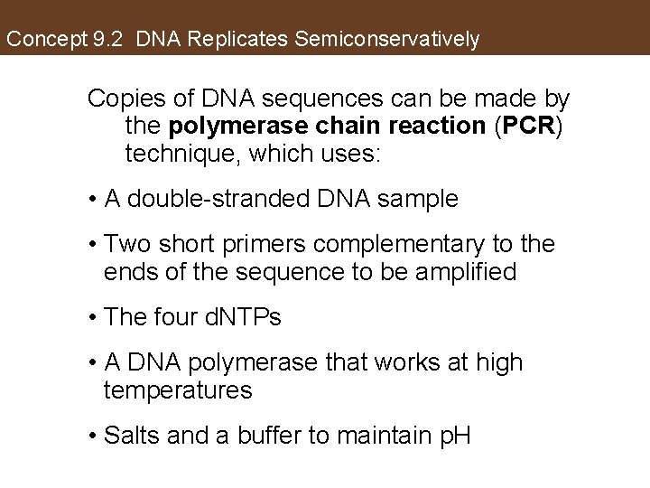 Concept 9. 2 DNA Replicates Semiconservatively Copies of DNA sequences can be made by