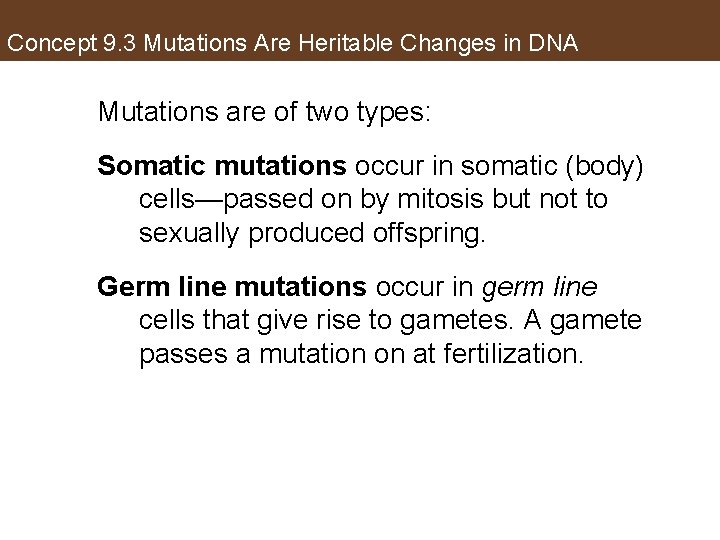 Concept 9. 3 Mutations Are Heritable Changes in DNA Mutations are of two types: