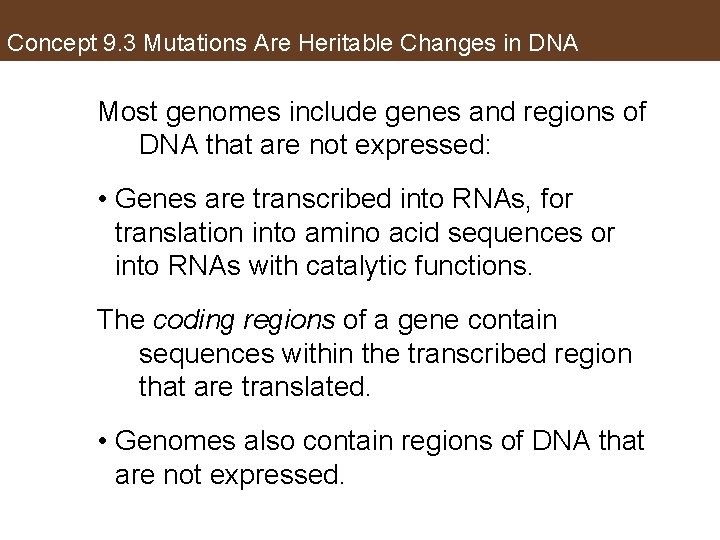 Concept 9. 3 Mutations Are Heritable Changes in DNA Most genomes include genes and