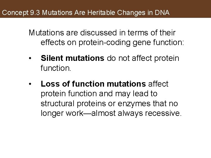 Concept 9. 3 Mutations Are Heritable Changes in DNA Mutations are discussed in terms