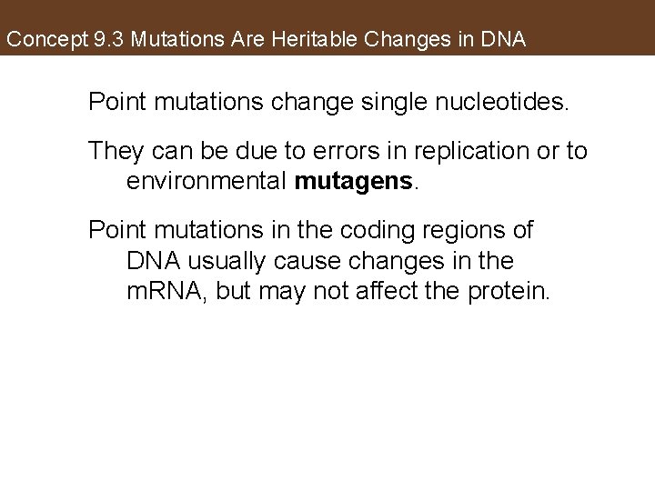Concept 9. 3 Mutations Are Heritable Changes in DNA Point mutations change single nucleotides.