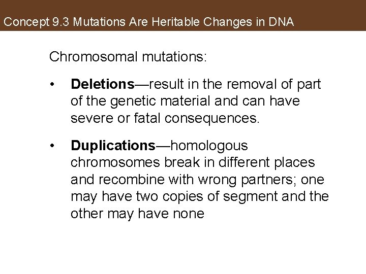 Concept 9. 3 Mutations Are Heritable Changes in DNA Chromosomal mutations: • Deletions—result in