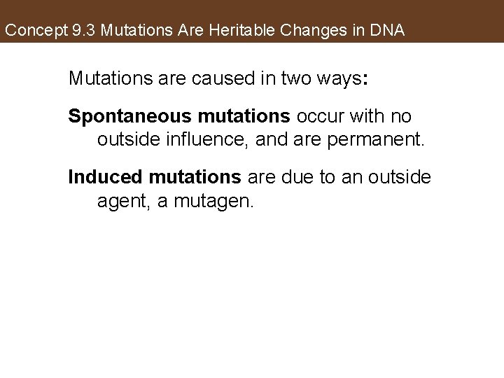 Concept 9. 3 Mutations Are Heritable Changes in DNA Mutations are caused in two