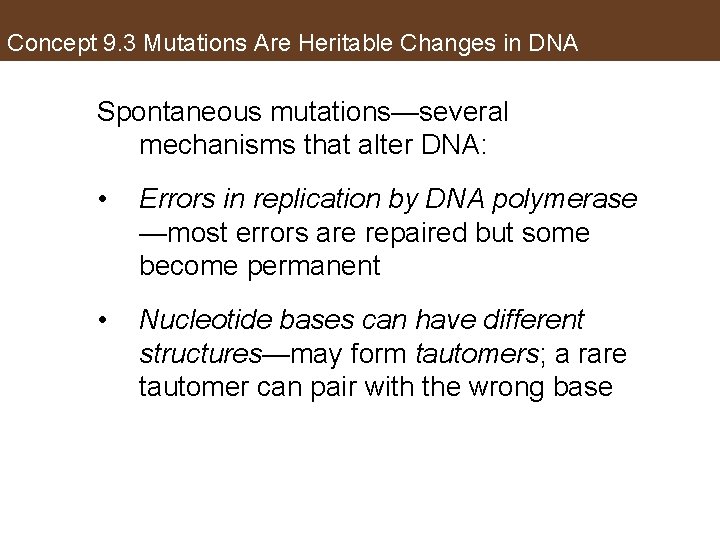 Concept 9. 3 Mutations Are Heritable Changes in DNA Spontaneous mutations—several mechanisms that alter