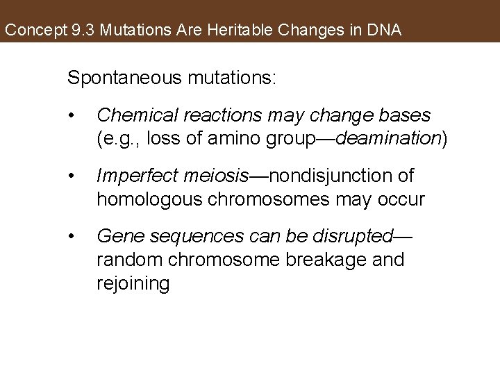 Concept 9. 3 Mutations Are Heritable Changes in DNA Spontaneous mutations: • Chemical reactions