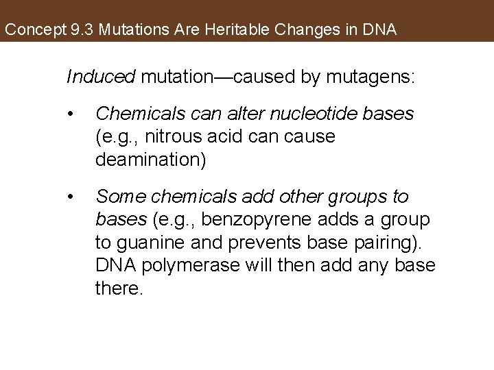 Concept 9. 3 Mutations Are Heritable Changes in DNA Induced mutation—caused by mutagens: •