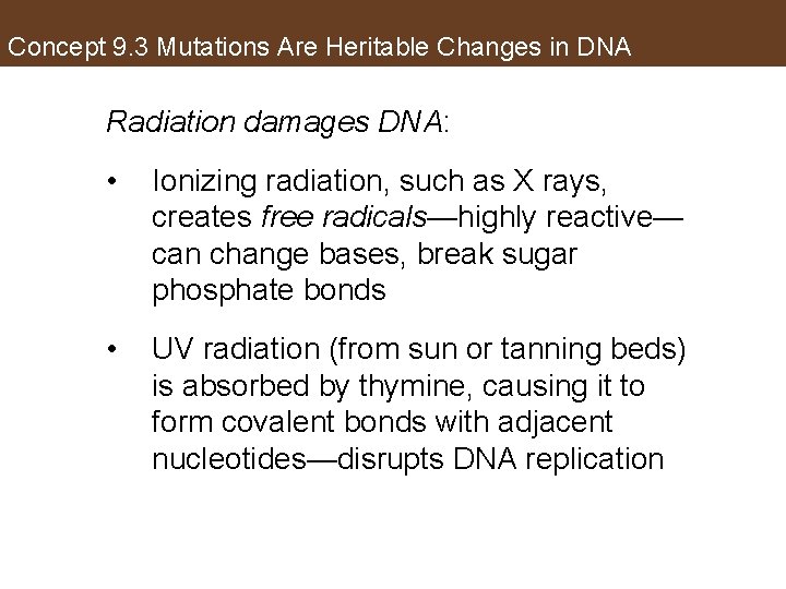 Concept 9. 3 Mutations Are Heritable Changes in DNA Radiation damages DNA: • Ionizing