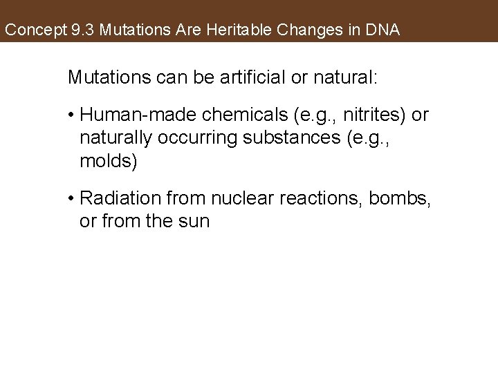 Concept 9. 3 Mutations Are Heritable Changes in DNA Mutations can be artificial or