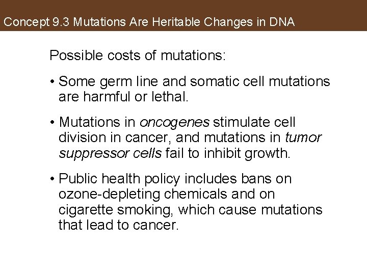 Concept 9. 3 Mutations Are Heritable Changes in DNA Possible costs of mutations: •