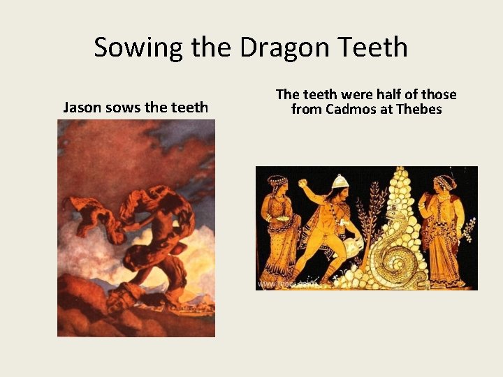 Sowing the Dragon Teeth Jason sows the teeth The teeth were half of those