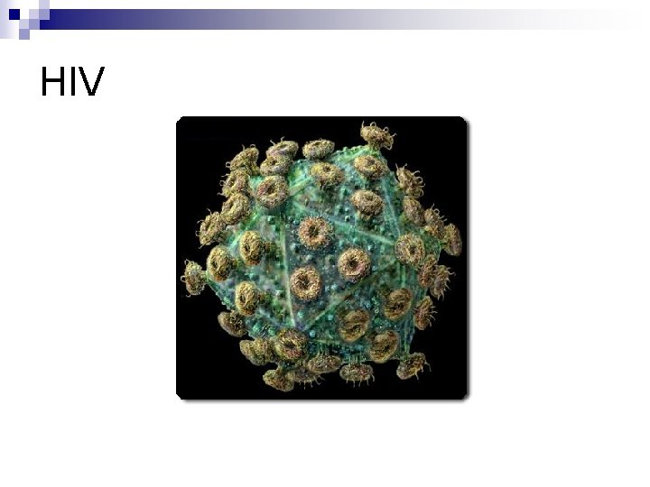 HIV 