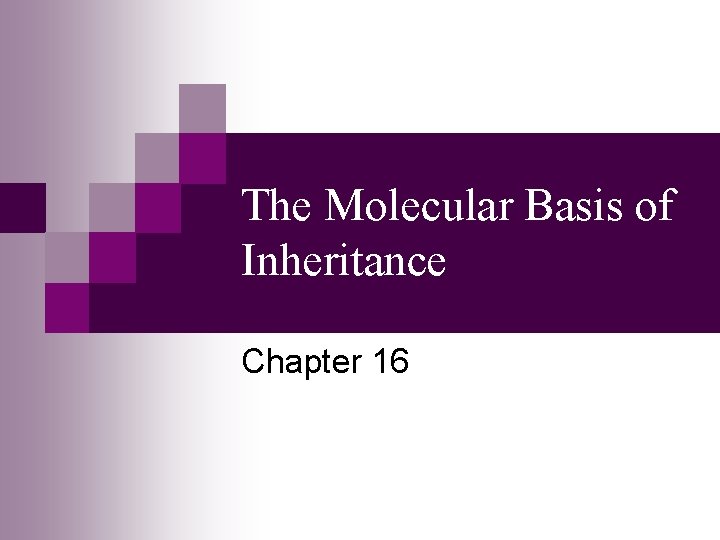 The Molecular Basis of Inheritance Chapter 16 