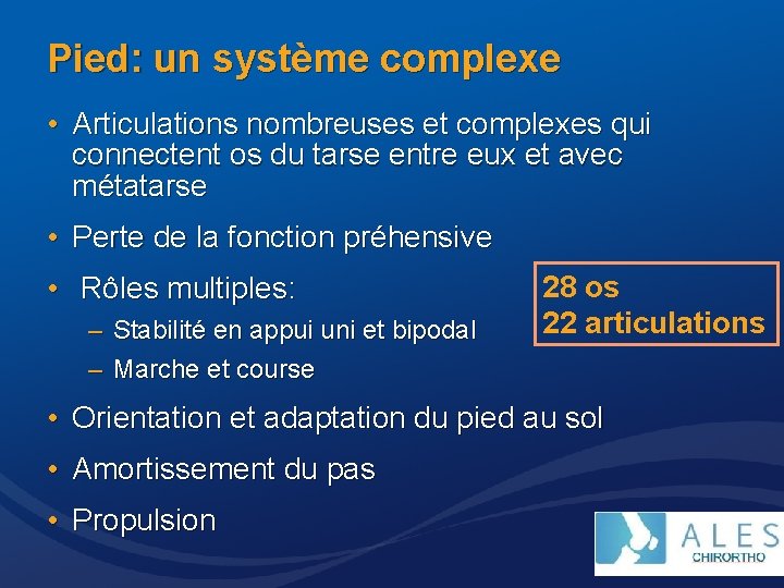 Pied: un système complexe • Articulations nombreuses et complexes qui connectent os du tarse