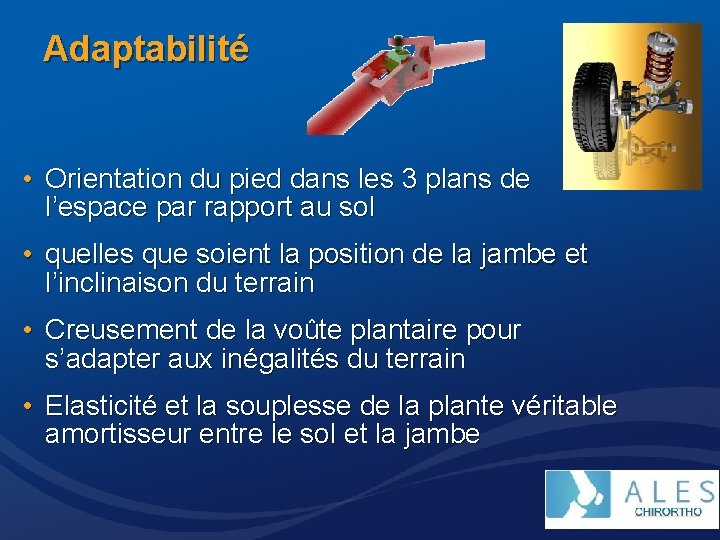 Adaptabilité • Orientation du pied dans les 3 plans de l’espace par rapport au