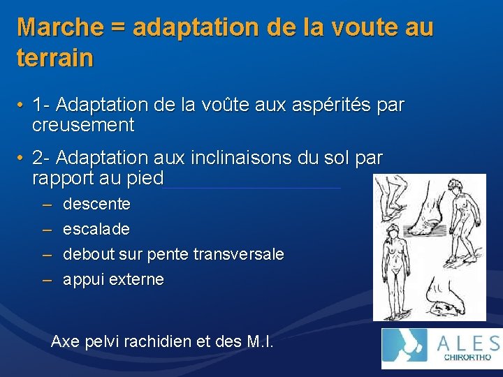 Marche = adaptation de la voute au terrain • 1 - Adaptation de la