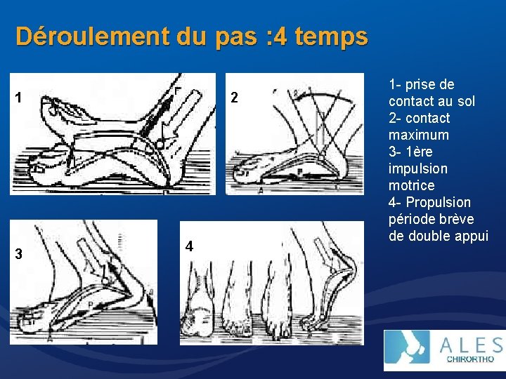 Déroulement du pas : 4 temps 1 3 2 4 1 - prise de