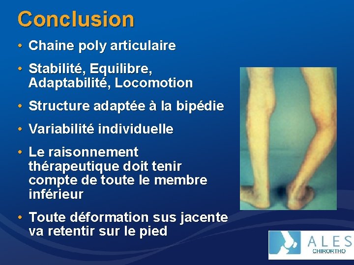 Conclusion • Chaine poly articulaire • Stabilité, Equilibre, Adaptabilité, Locomotion • Structure adaptée à