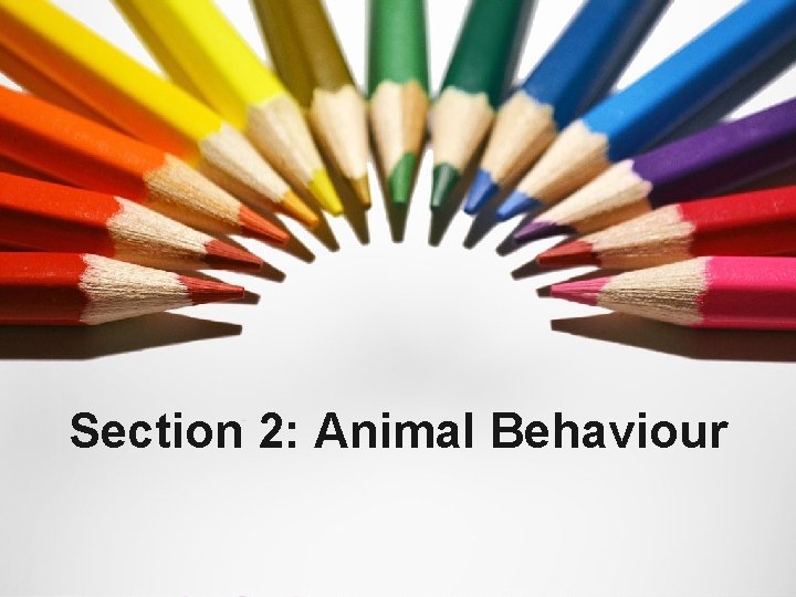 Section 2: Animal Behaviour 