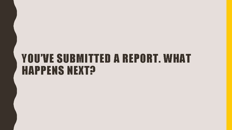 YOU’VE SUBMITTED A REPORT. WHAT HAPPENS NEXT? 