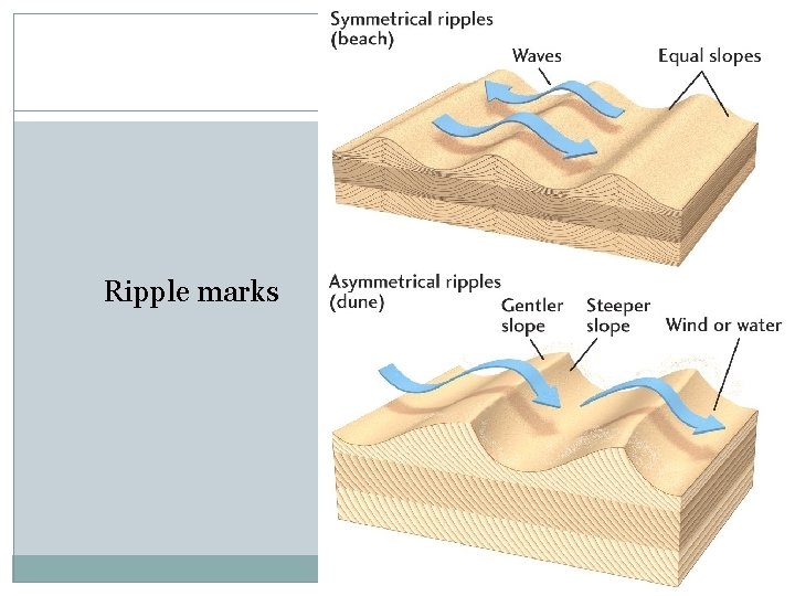 Ripple marks 