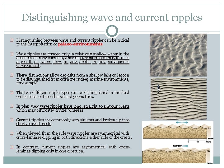 Distinguishing wave and current ripples � Distinguishing between wave and current ripples can be