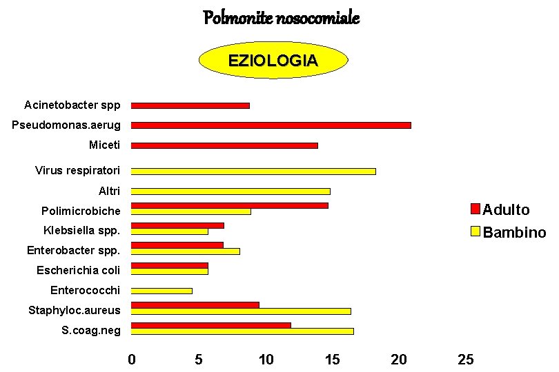 Polmonite nosocomiale EZIOLOGIA Acinetobacter spp Pseudomonas. aerug Miceti Virus respiratori Altri Polimicrobiche Adulto Klebsiella