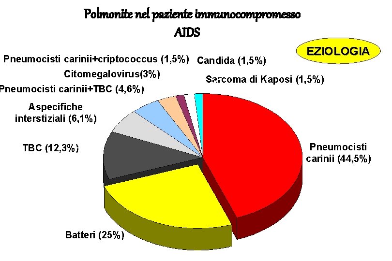 Polmonite nel paziente immunocompromesso AIDS EZIOLOGIA Pneumocisti carinii+criptococcus (1, 5%) Candida (1, 5%) Citomegalovirus(3%)