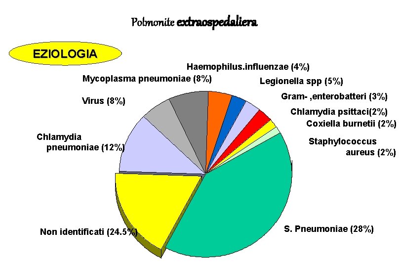 Polmonite extraospedaliera EZIOLOGIA Haemophilus. influenzae (4%) Mycoplasma pneumoniae (8%) Legionella spp (5%) Virus (8%)