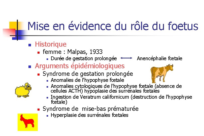 Mise en évidence du rôle du foetus n Historique n femme : Malpas, 1933
