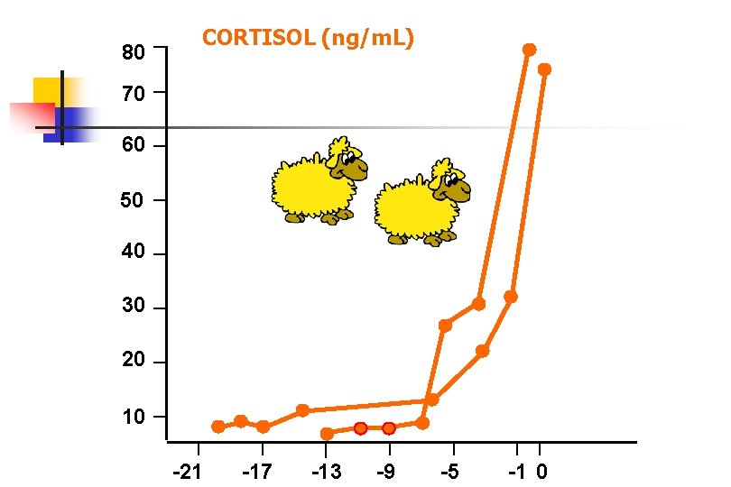80 CORTISOL (ng/m. L) 70 60 50 40 30 20 10 -21 -17 -13