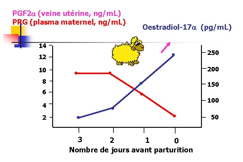PGF 2 (veine utérine, ng/m. L) PRG (plasma maternel, ng/m. L) Oestradiol-17 (pg/m. L)