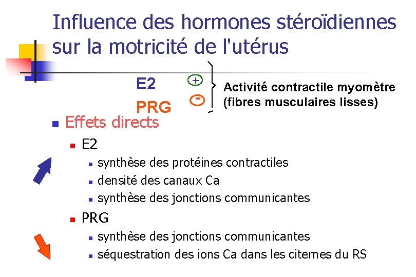 Influence des hormones stéroïdiennes sur la motricité de l'utérus n E 2 PRG Effets