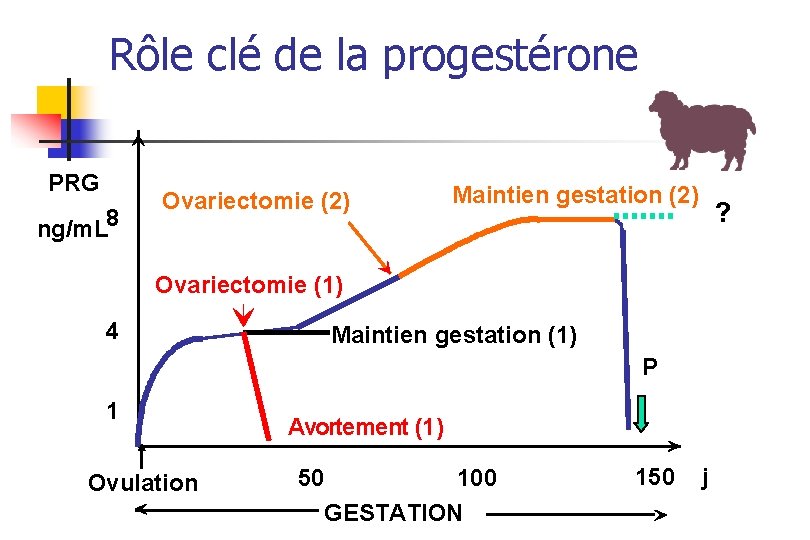 Rôle clé de la progestérone PRG ng/m. L 8 Ovariectomie (2) Maintien gestation (2)