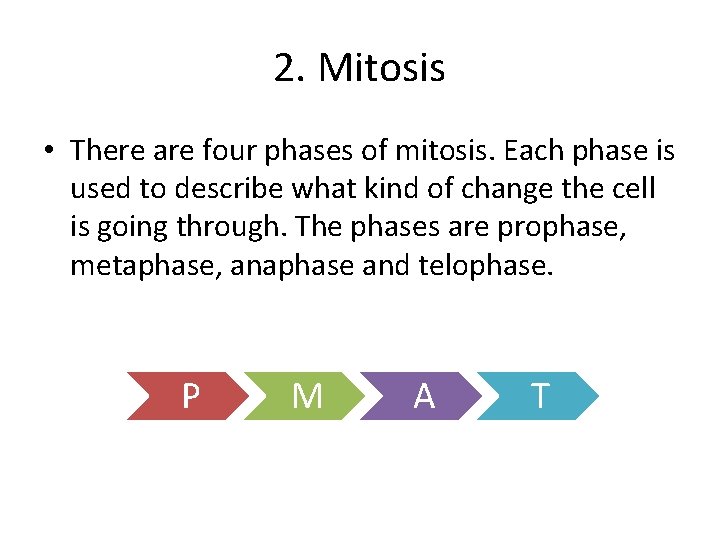 2. Mitosis • There are four phases of mitosis. Each phase is used to