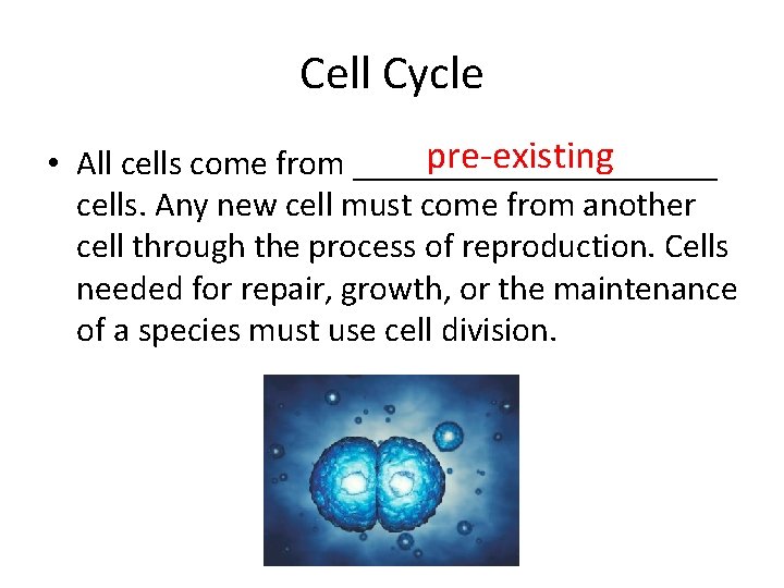 Cell Cycle pre-existing • All cells come from ___________ cells. Any new cell must Cell Cycle pre-existing • All cells come from ___________ cells. Any new cell must