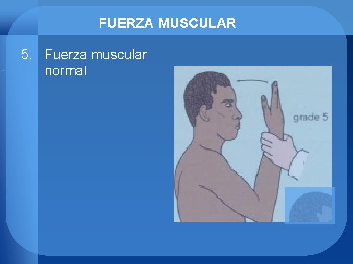 FUERZA MUSCULAR 5. Fuerza muscular normal 