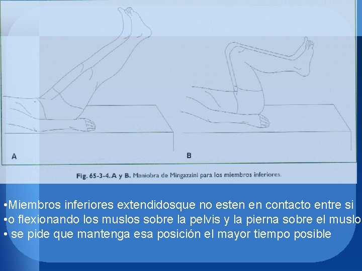  • Miembros inferiores extendidosque no esten en contacto entre si • o flexionando