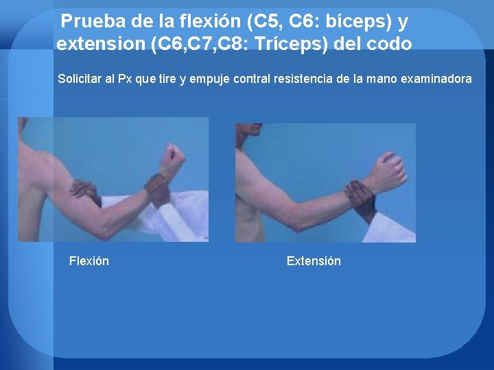 Prueba de la flexión (C 5, C 6: bíceps) y extension (C 6, C