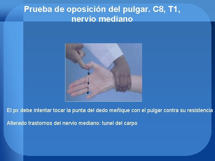 Prueba de oposición del pulgar. C 8, T 1, nervio mediano El px debe