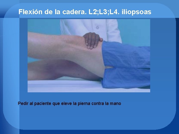 Flexión de la cadera. L 2; L 3; L 4. iliopsoas Pedir al paciente
