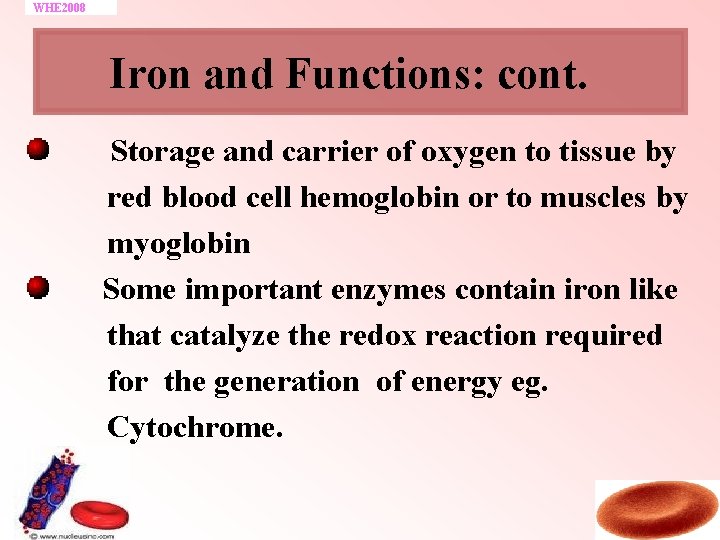 WHE 2008 Iron and Functions: cont. Storage and carrier of oxygen to tissue by
