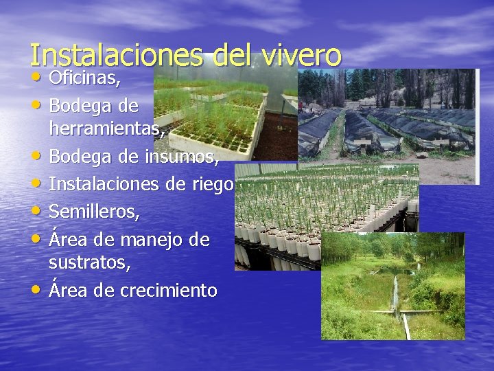 Instalaciones del vivero • Oficinas, • Bodega de • • • herramientas, Bodega de